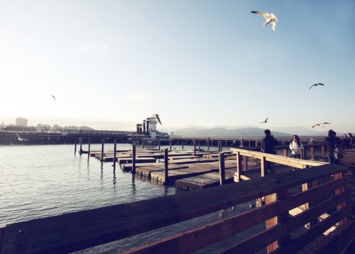 no sea lions on the pier--boo_bloggallery.jpg